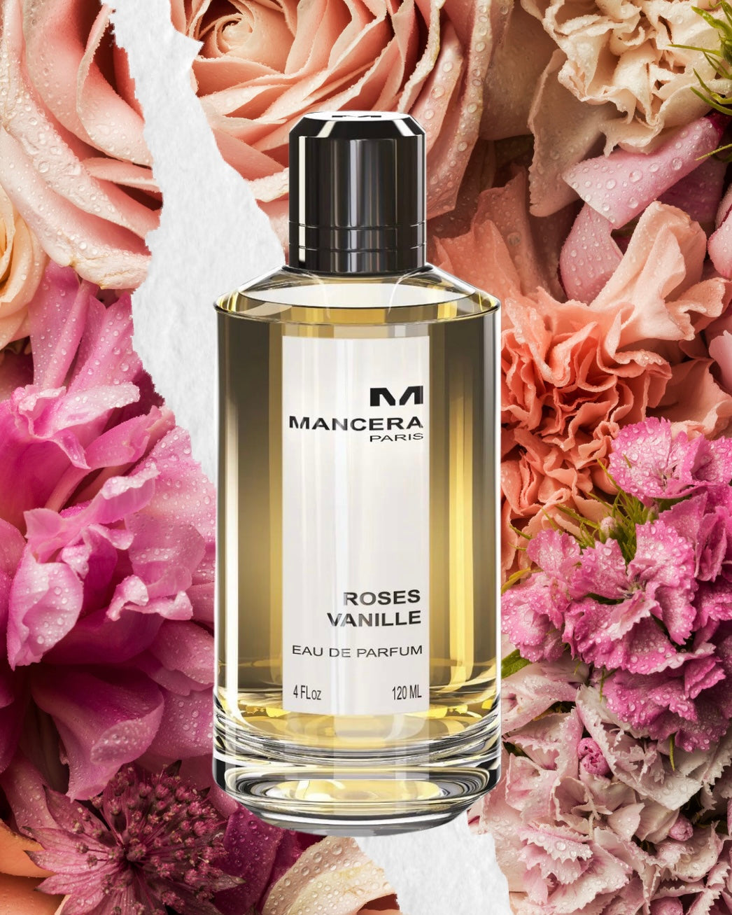 Roses Vanille - Mancera